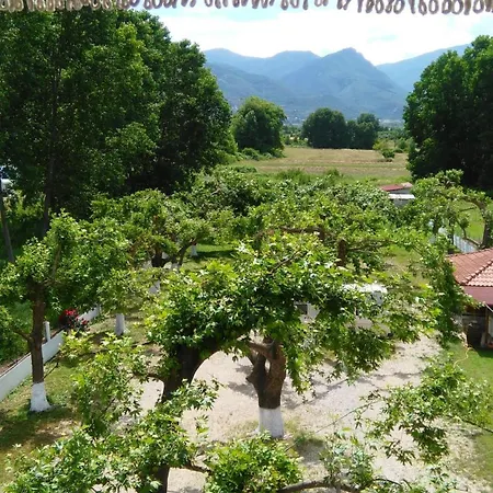 Lefkes فندق Paralía Skotínis