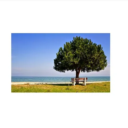 فندق Lefkes Paralía Skotínis