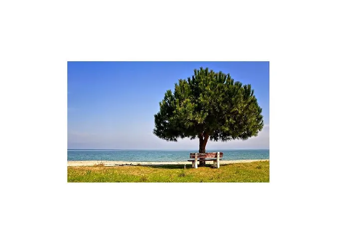 فندق Lefkes Paralía Skotínis